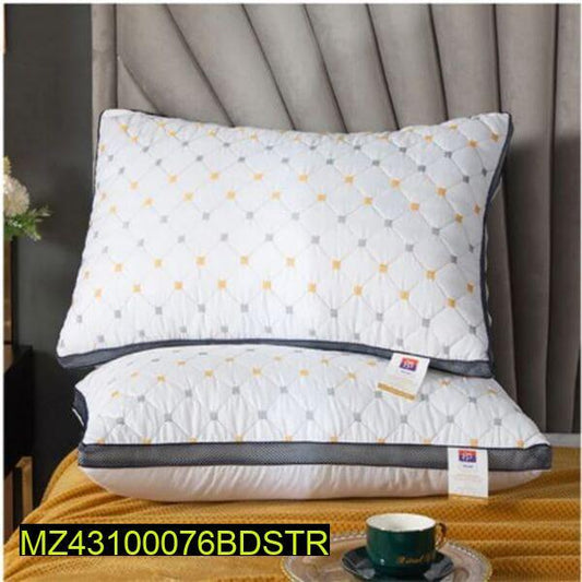 2 Pcs Embroidered Pillows